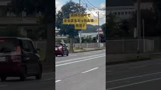 🐵遠野の真ん中でまるまる太ったお猿を発見💡