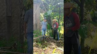 Download lagu PART 1 || Bodo di bobodo #viralvideo #lucu #komedi #video #ngakak #comedy #funny #hiburan mp3 Download lagu PART 1 || Bodo di bobodo #viralvideo #lucu #komedi #video #ngakak #comedy #funny #hiburan mp3