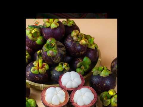 Quả gì Sheet - Bé Xuân Mai