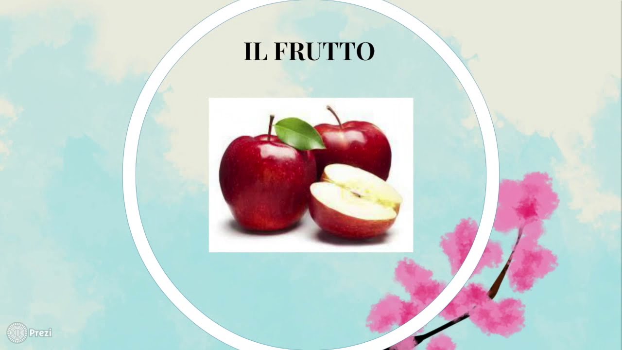Watch Now Le parti del frutto Le parti del frutto