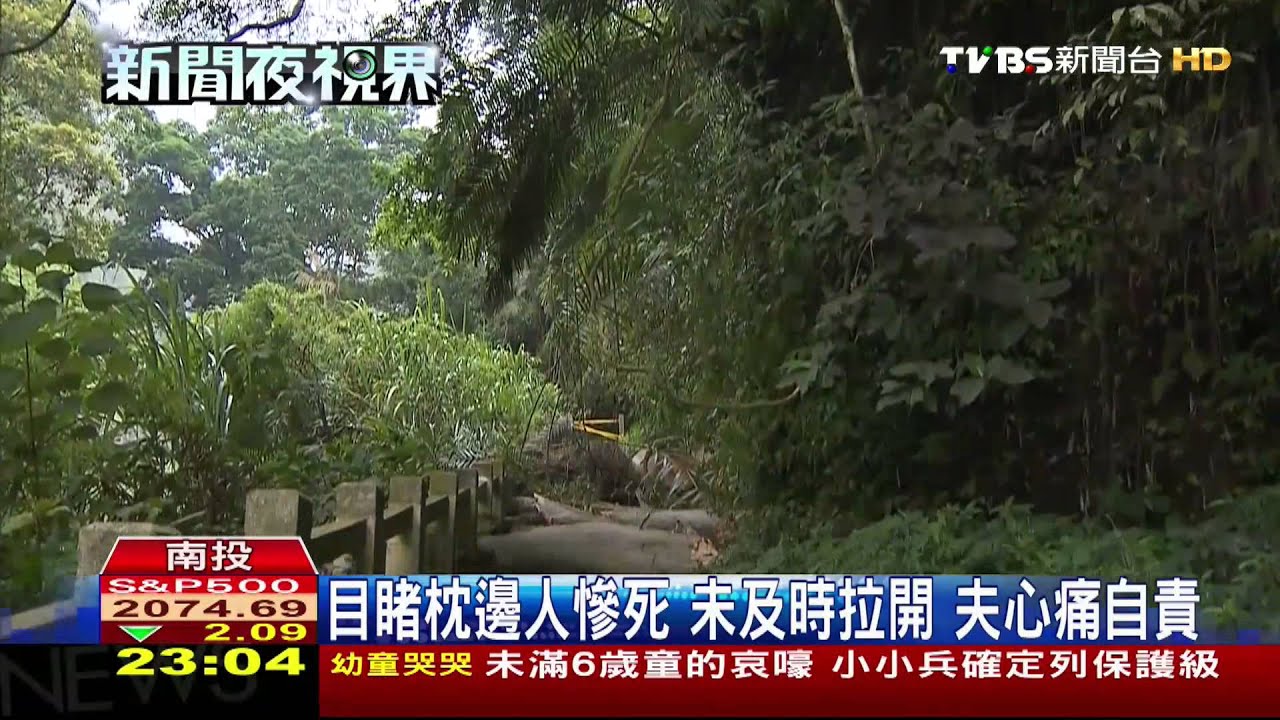 颱風未到樹先倒 8尺高百斤樹壓死6旬婦