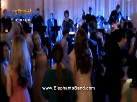 The ELEPHANTS rock Waco wedding!   LAM