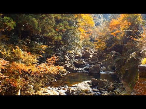 HOT NEWS Seiyo 2016 Best Of Seiyo Japan Tourism