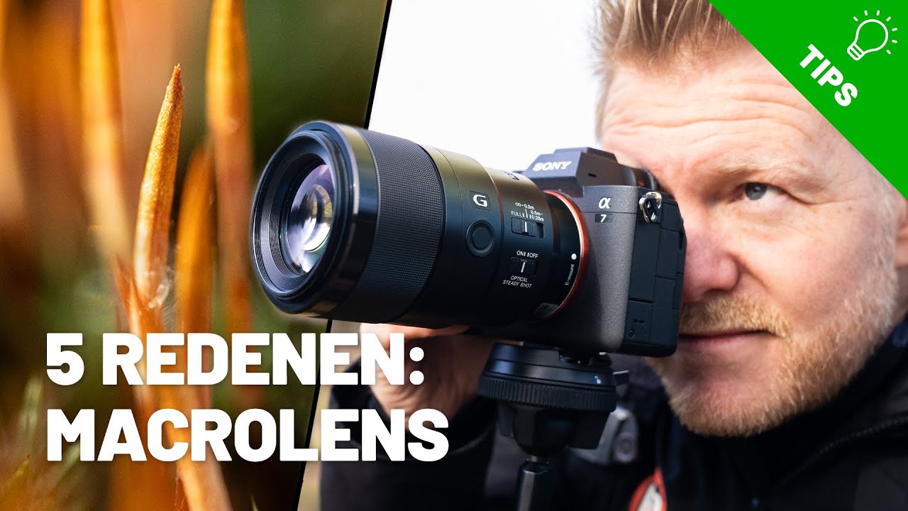 Sony FE 90mm F/2.8G Macro OSS