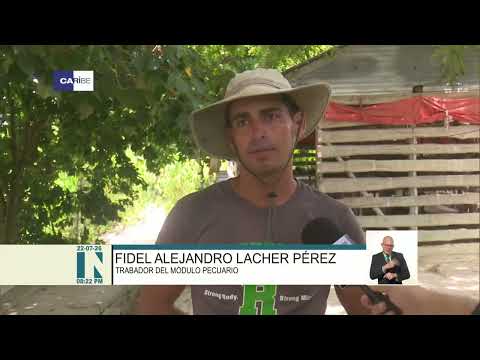 Campesinos pinareños apuestan por cultivos varios ante dificultades de combustible