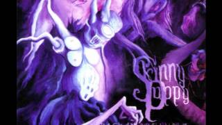 Skinny Puppy - Disco Infernal (Raw Candle)