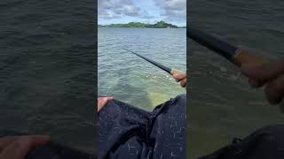 Download lagu Mancing santai di pinggir laut menggunakan joran tegek #shorts #mancing #fishing mp3