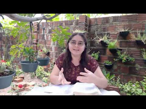 Êxodo 6:1-13-Deus promete livrar os Israelitas-Devocional Encontro com Deus