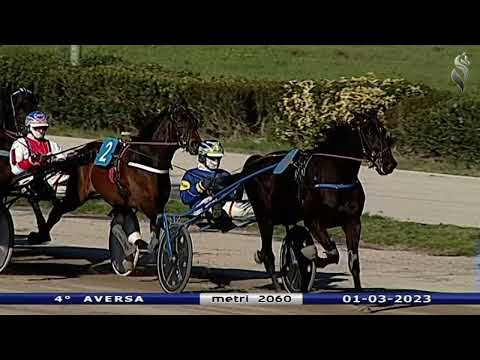 Aversa trotto 1 Marzo 2023 - 4° Corsa