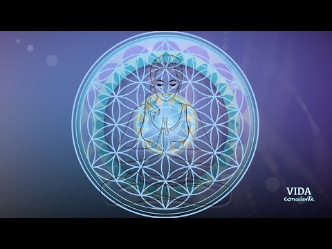432 Hz. | Música de alta frecuencia | Geometría sagrada | Flor de la vida #432hz #432hzmeditation