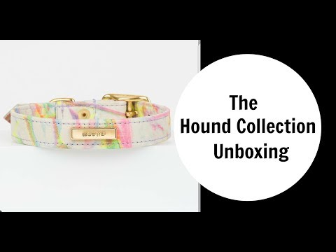 download lagu mp3 mp4 Hound Collection, download lagu Hound Collection gratis, unduh video klip Hound Collection