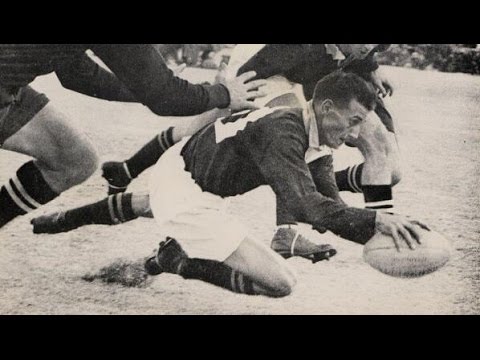 Springbok Greats - Hannes Brewis