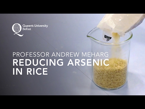 Professor Andrew Meharg – Reducing Arsenic in Rice