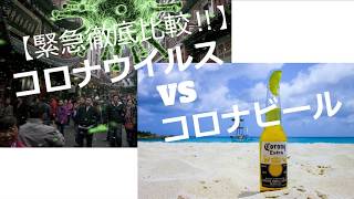 【緊急徹底比較‼】　コ●ナウイルス VS コ●ナビール　Virus VS Beer !!