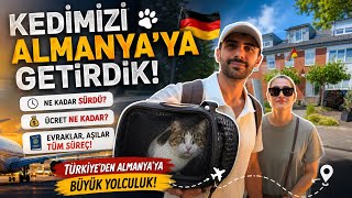 🐱 KEDİMİZİ TÜRKİYE’DEN ALMANYA’YA NASIL GETİRDİK? 🇩🇪 | ÜCRET, EVRAKLAR VE TÜM SÜ