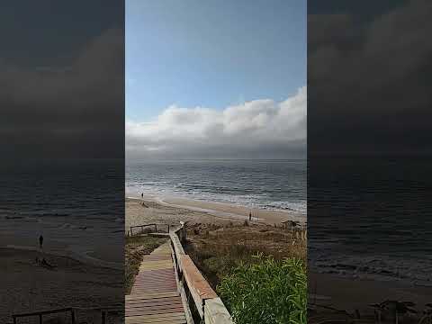 La mejor vista de la costa en Canelones, Uruguay. #shinrinyoku #beach #birds #nature #sol #mar #paz