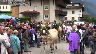 preview picture of video 'Almabtrieb 2012 Zillertal Ramsau'