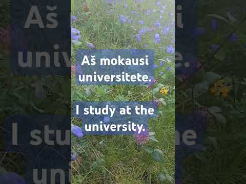 Aš mokausi universitete. I study at the university. #lithuanian #lessons