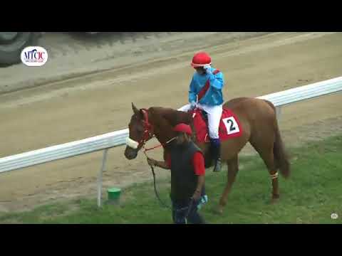 [02.08.25] Champ-de-Mars: Sixth race, The Duchess of York Cup (main race)