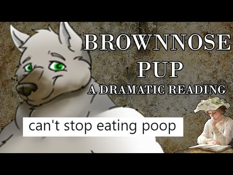 Farmgirl Reads: The Tweets of Brownnose Pup