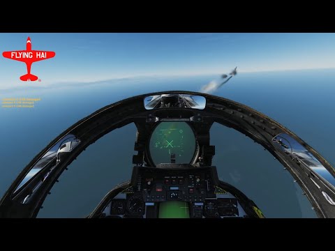 F-14 Tomcat Vs F-18 BFM Tournament VNAO Jan 2020 | DCS World | Flying Hai
