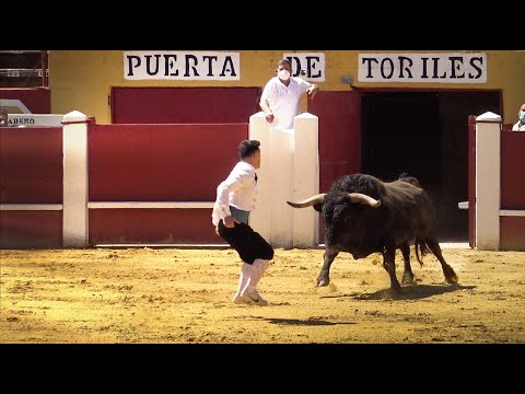 Cuéllar Exhibición de Recortes con Toros Bravos 2021