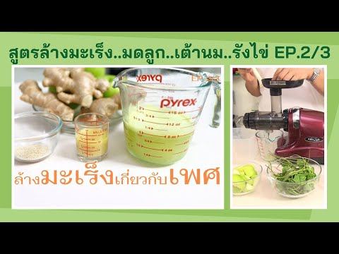 ฮอร์โมนเพิ่มเต้านม หน้าอกเล็กการถ่ายทอดทางพันธุกรรม