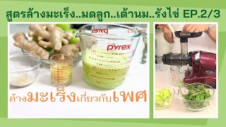 สูตรล้างมะเร็ง เกี่ยวกับเพศ เช่น มะเร็งมดลูก มะเร็งรังไข่ มะเร็งเต้านม Oscar DA1000 EP2/3