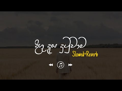 Digu Desa Dutuwama - දිගු දෑස දුටුවාම (Slowed+Reverb)