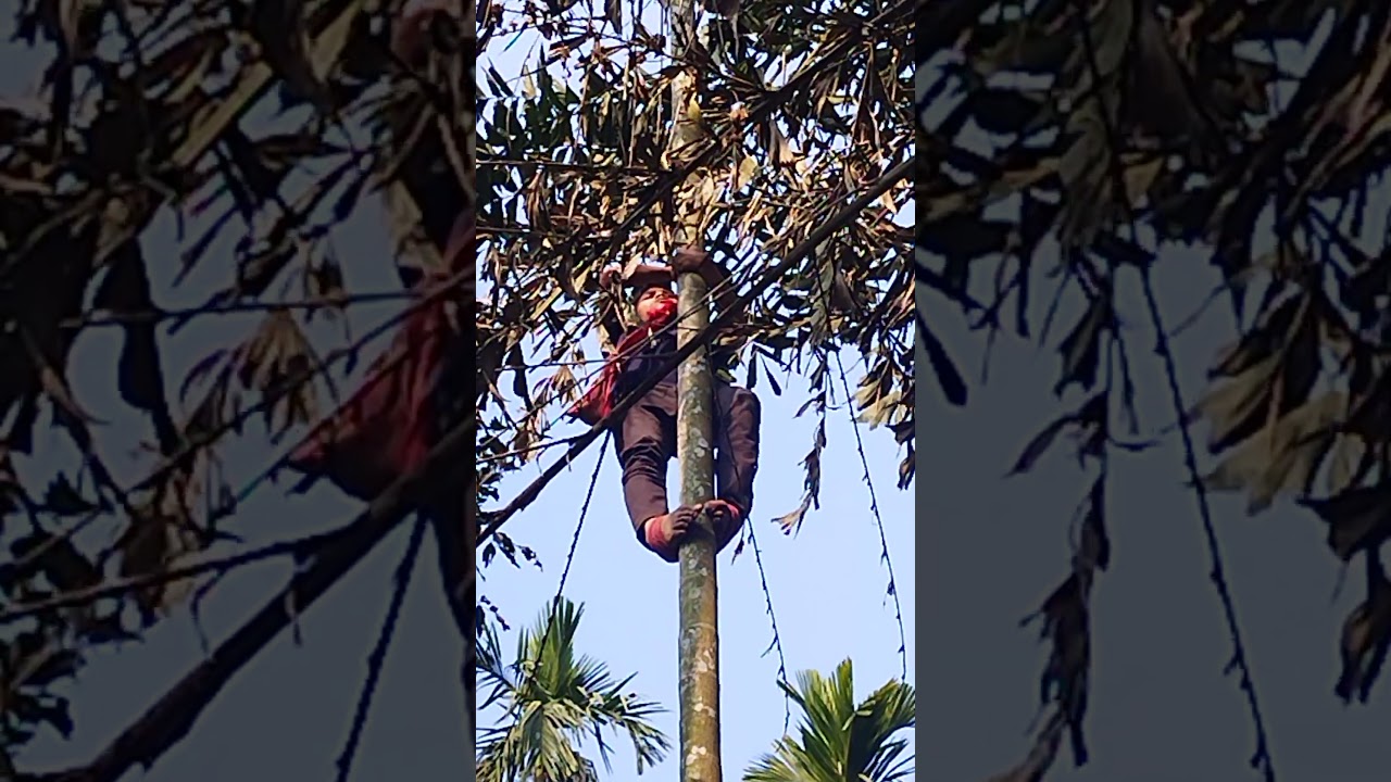 tamul #viral #awezchaitrend