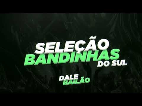 SELEÇÃO DE BANDINHAS DO SUL 2025 - DALE BAILÃO