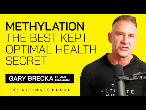 Methylation | The Best Kept Optimal Health Secret