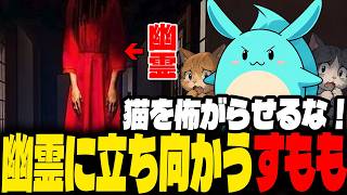 猫たちを命がけで救うホラゲ「ドアノック」で幽霊に立ち向かうすもも【フォートナイトホラーマップ】