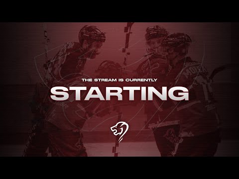 N2 - J10 I Lions de Bordeaux 🆚 Tigres de Rochefort