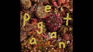 PWR BTTM - Pageant (Full Album)