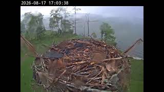 Live Camera Axis Q1615 Mk II