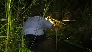 Download lagu 16 Mei 2022 mp3 Download lagu 16 Mei 2022 mp3