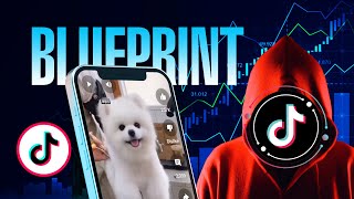 How I Made Money on the TikTok Creativity Program