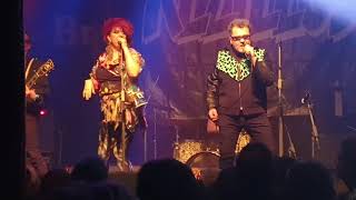 Groovy Room   The Rezillos