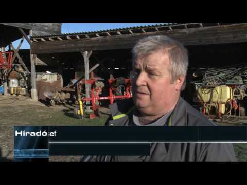 Híradó – 2016. november 30.