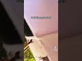 Homosassa Ocala Fl