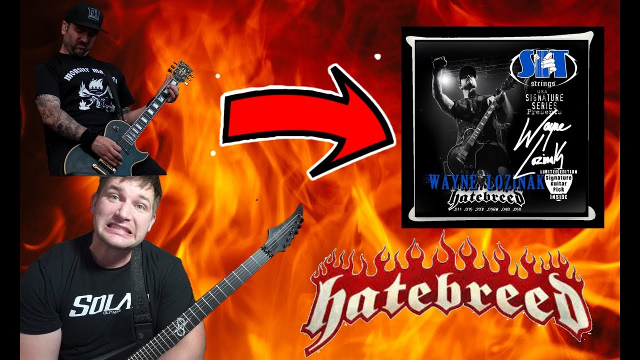 Wayne Lozinak signature strings | SIT Strings review