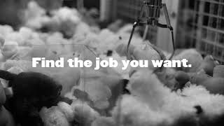 Monster Dream Big - Robot