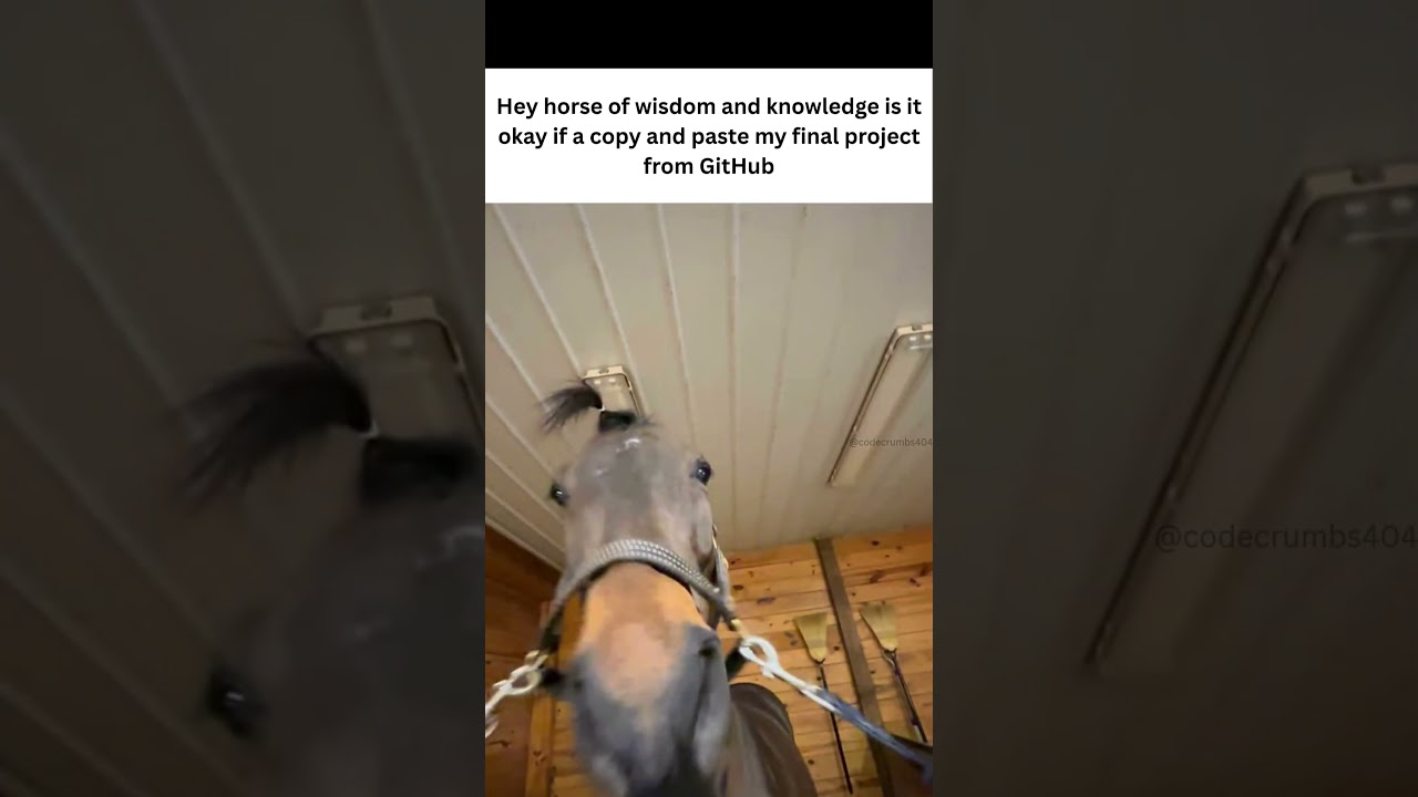 Hey horse of wisdom and knowlegde is it okay if a copy and paste my final project from GitHub