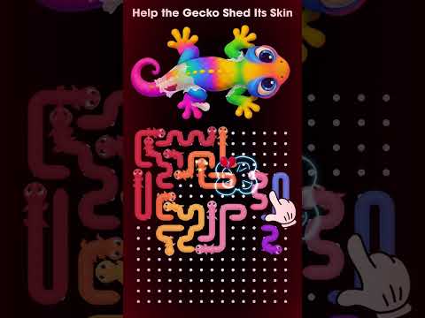 Gecko Go