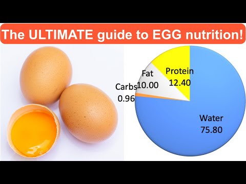 The ULTIMATE guide to EGG Nutrition!
