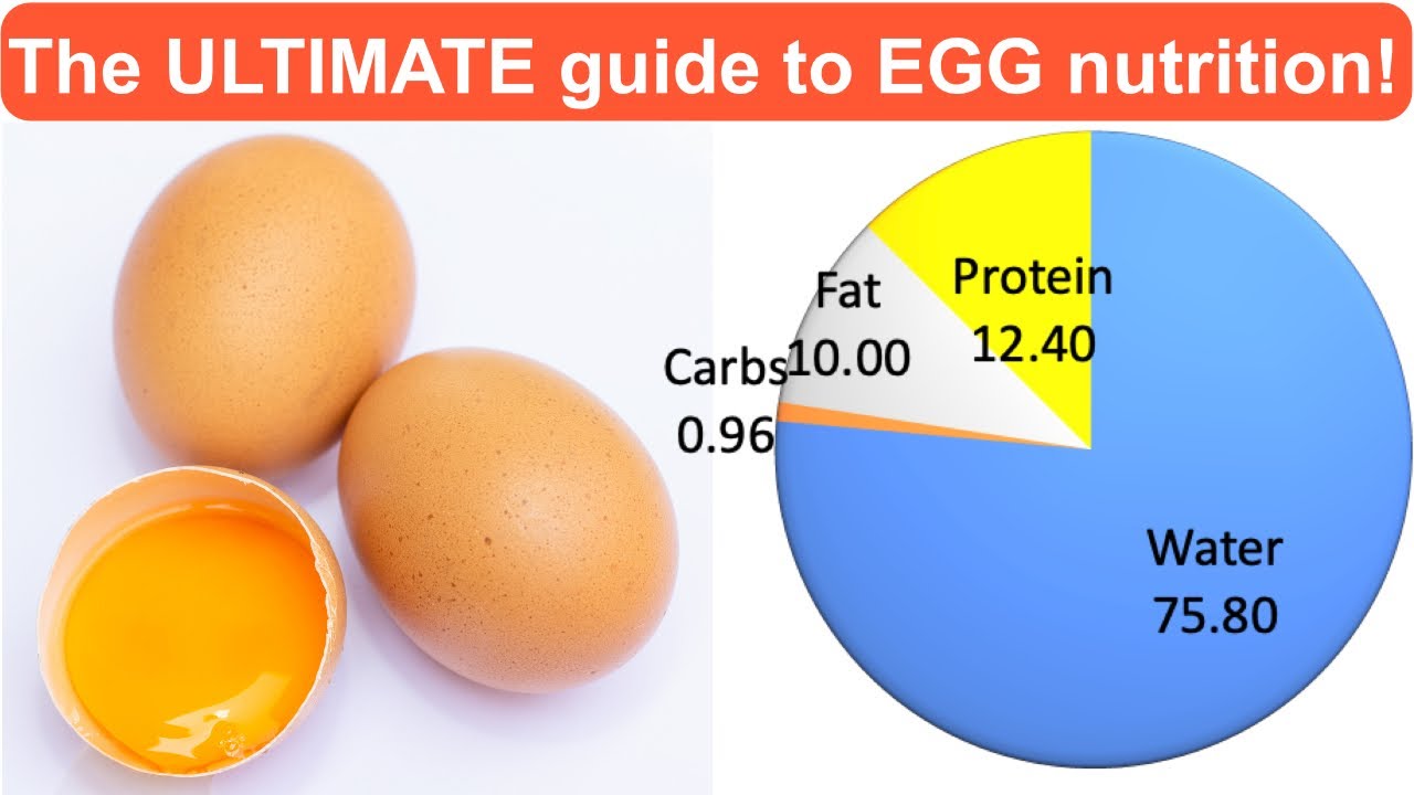 The ULTIMATE guide to EGG Nutrition!