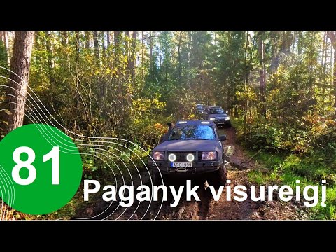 Paganyk visureigį Nr.81 Auksinis Labanoro žiedas
