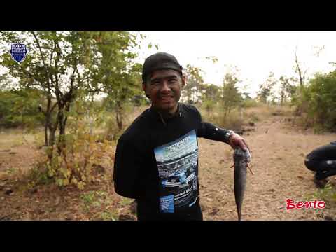 คลิกเพื่อดูคลิปวิดีโอ