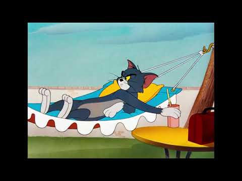 StiloCalcate - Tutto parla di lei 5